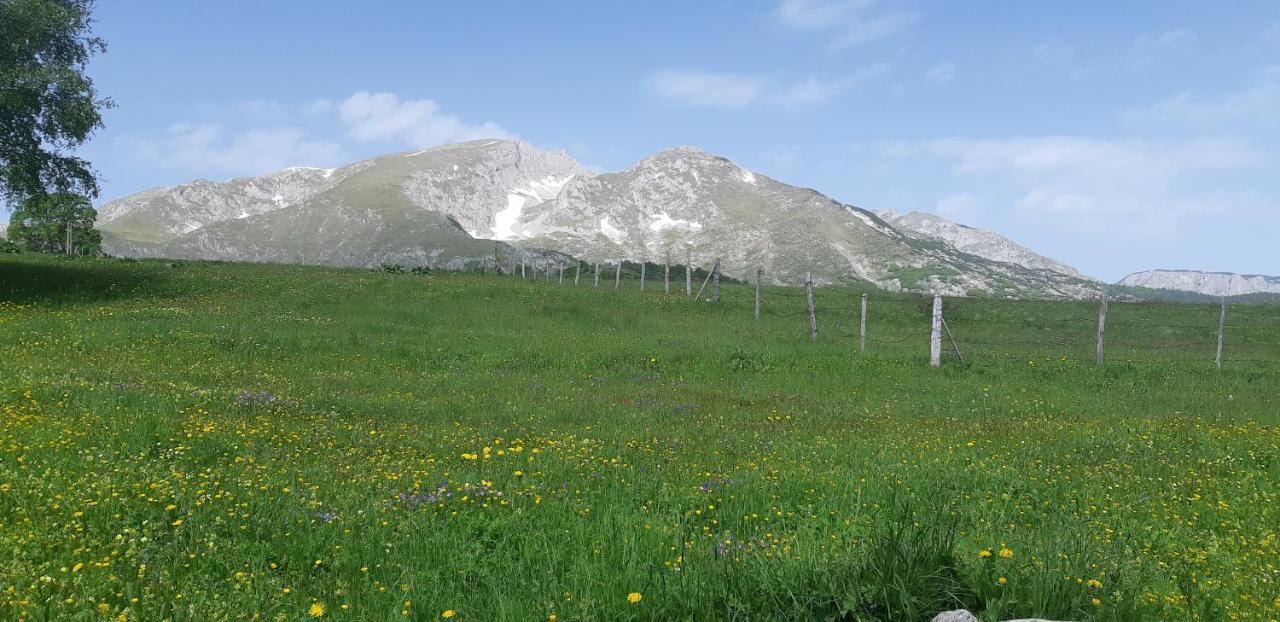 Durmitorski Konak Žabljak Dış mekan fotoğraf